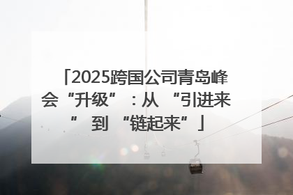 2025跨国公司青岛峰会“升级”：从 “引进来” 到 “链起来”