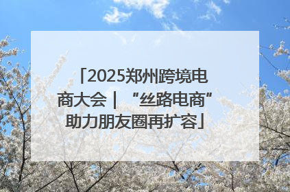 2025郑州跨境电商大会｜“丝路电商”助力朋友圈再扩容