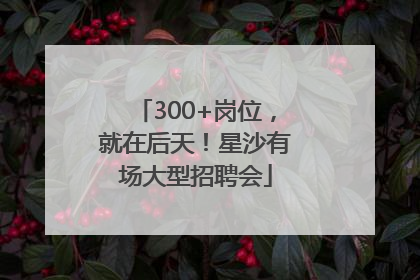 300+岗位，就在后天！星沙有场大型招聘会