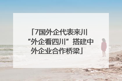 7国外企代表来川 “外企看四川”搭建中外企业合作桥梁