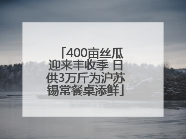 400亩丝瓜迎来丰收季 日供3万斤为沪苏锡常餐桌添鲜
