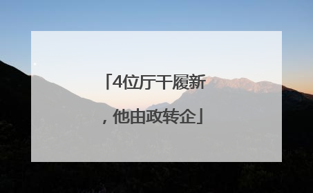 4位厅干履新，他由政转企