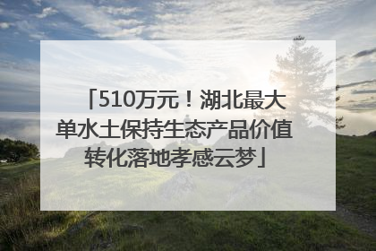 510万元！湖北最大单水土保持生态产品价值转化落地孝感云梦
