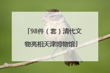 98件（套）清代文物亮相天津博物馆