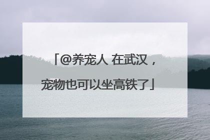 @养宠人 在武汉，宠物也可以坐高铁了
