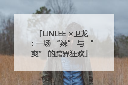 LINLEE ×卫龙：一场 “辣” 与 “爽” 的跨界狂欢