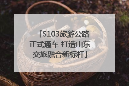 S103旅游公路正式通车 打造山东交旅融合新标杆